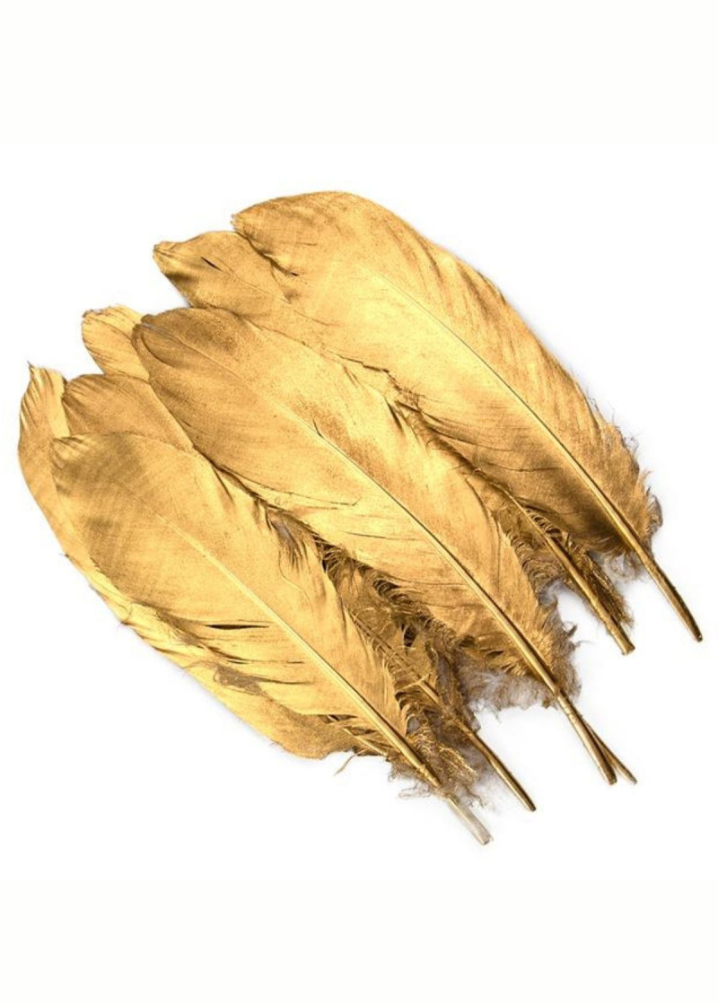 Пір'я страуса пір'я, золото, 18cm