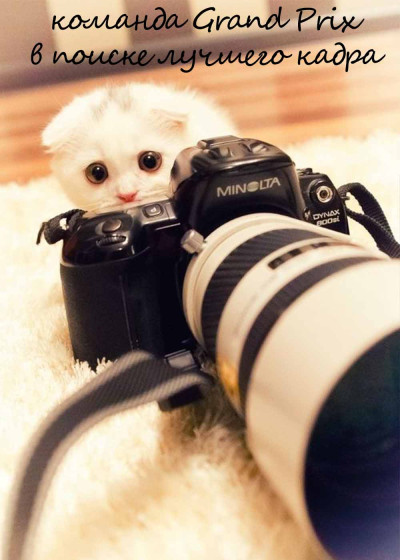 Лайкра Metallic 80%полиамид, 20%эластан, белый, 1.5m