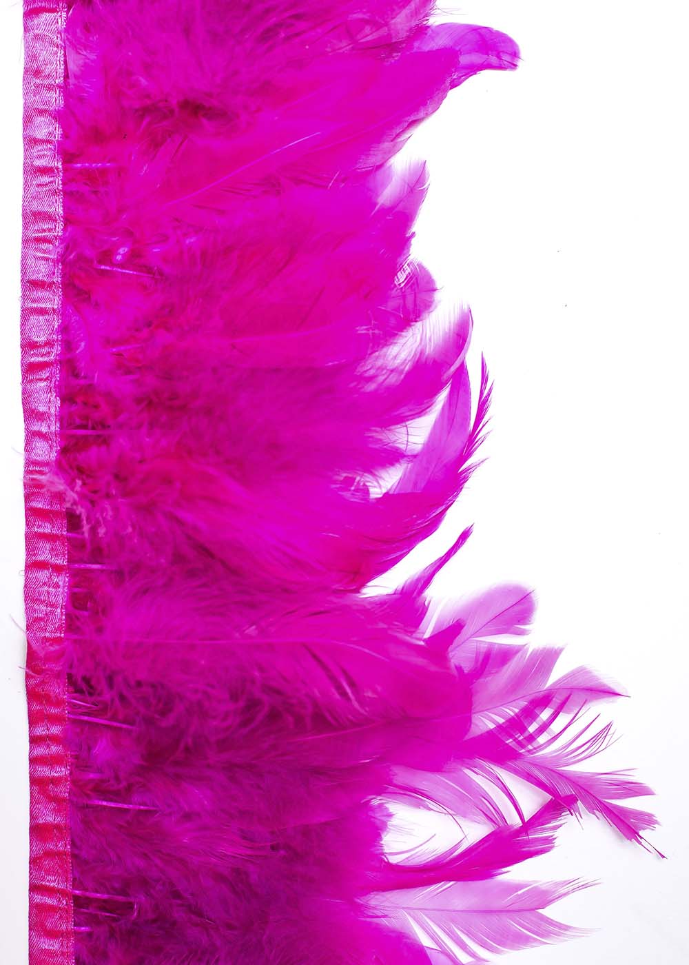 Coque feathers fringe to buy at the Grand Prix store