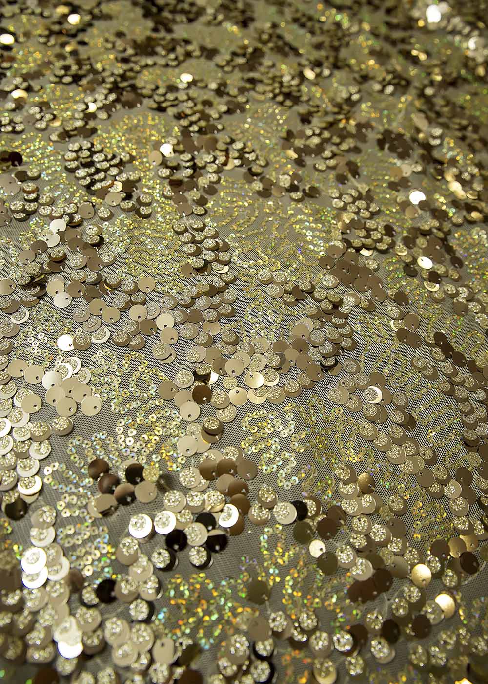Sequin on net CLAIRE