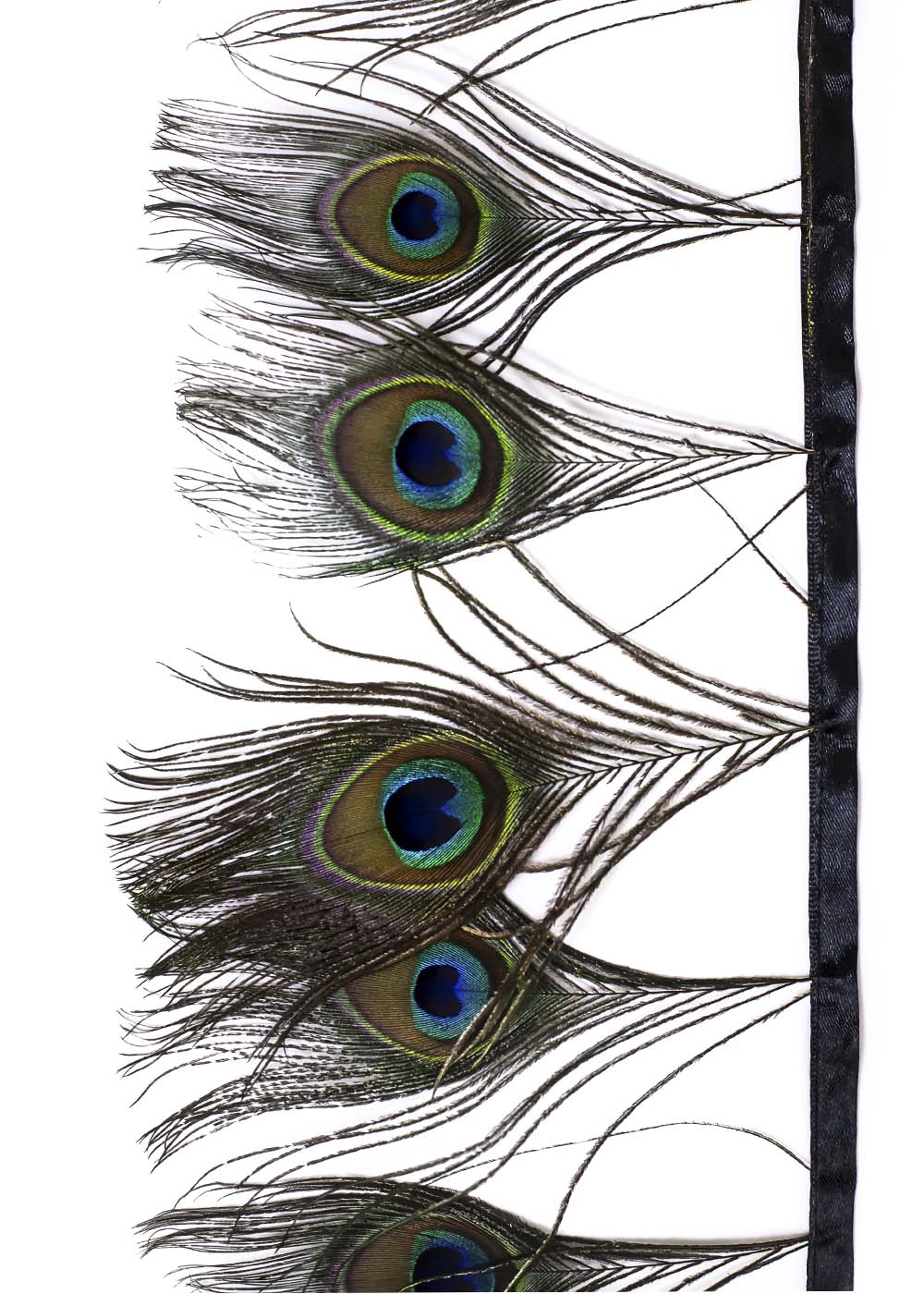 Peacock feathers to buy at the Grand Prix store